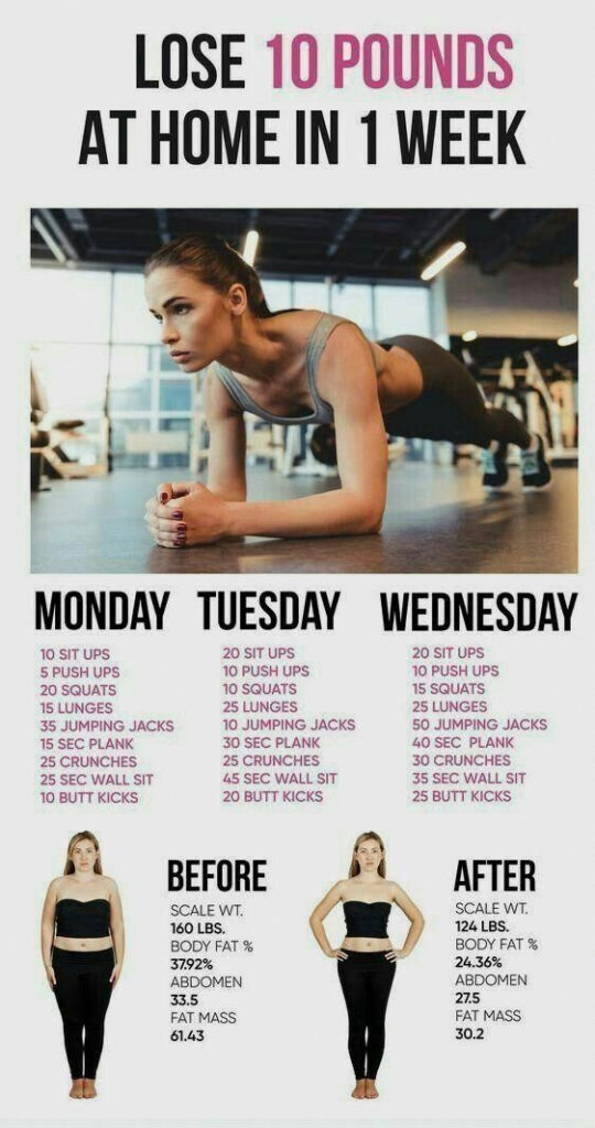Endomorph Body Type Gewichtsverlust WeightLossFoodList Endomorph 