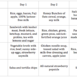 Lactose Intolerant Diet 3 Day Meal Plan